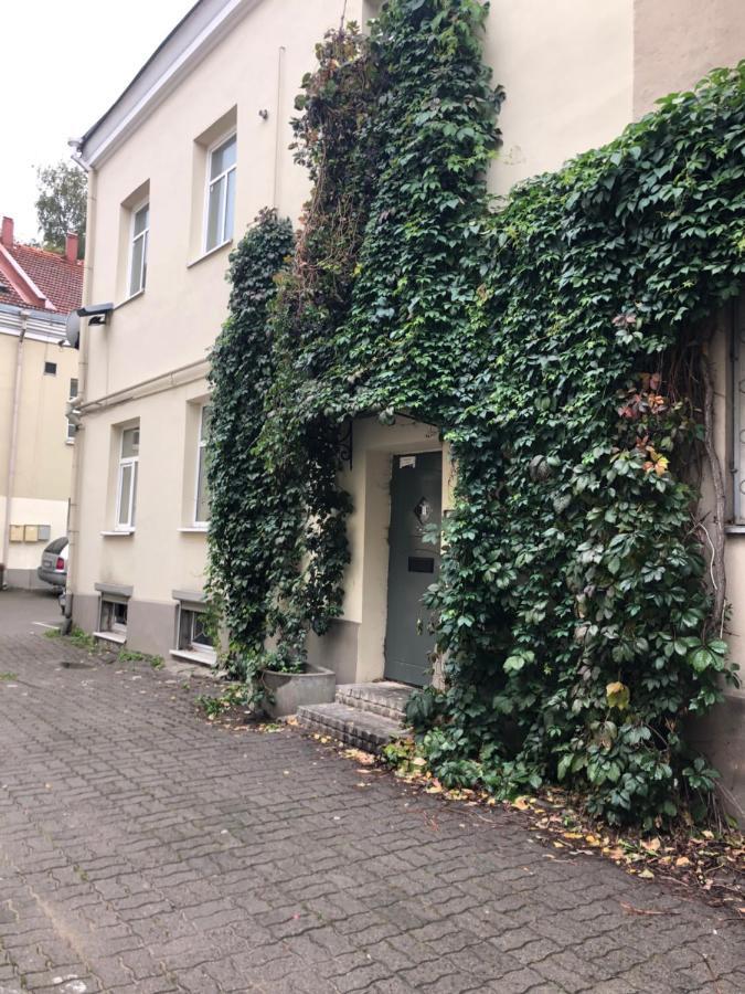 شقة Angel House Vilnius, Dysnos المظهر الخارجي الصورة